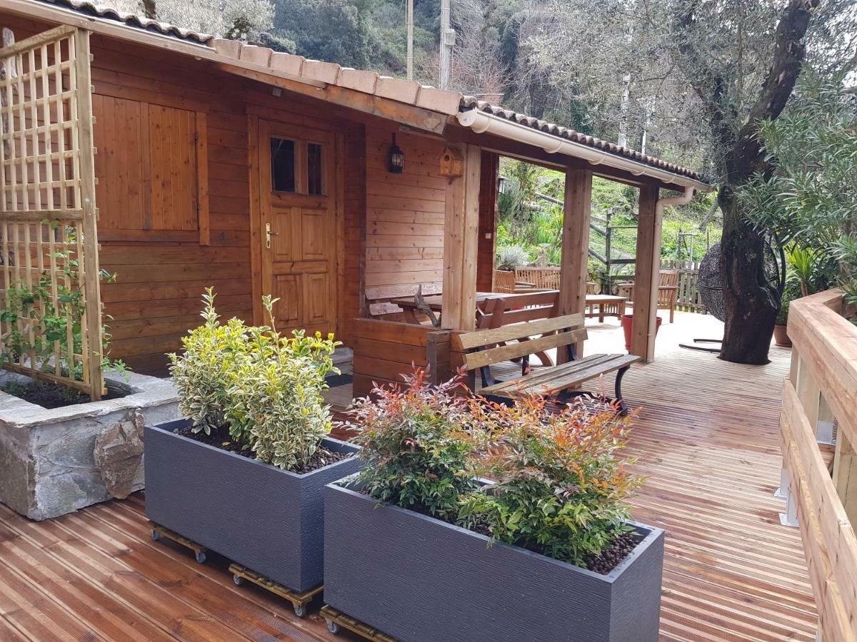 Le Chalet De Valentine & Laurent Olmiccia Bagian luar foto