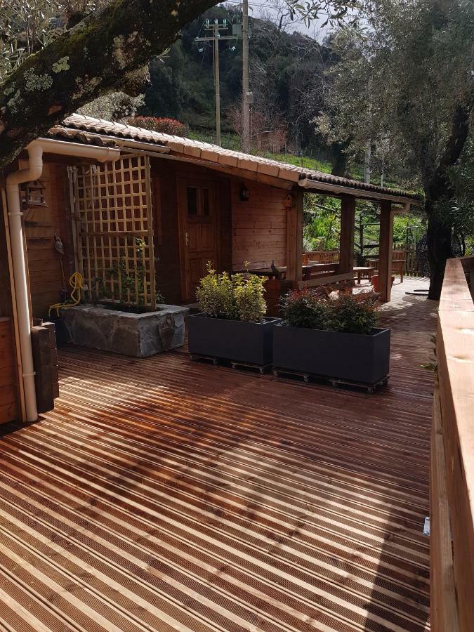 Le Chalet De Valentine & Laurent Olmiccia Bagian luar foto