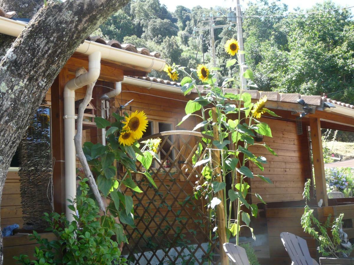 Le Chalet De Valentine & Laurent Olmiccia Bagian luar foto